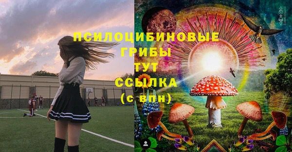 дживик Наволоки